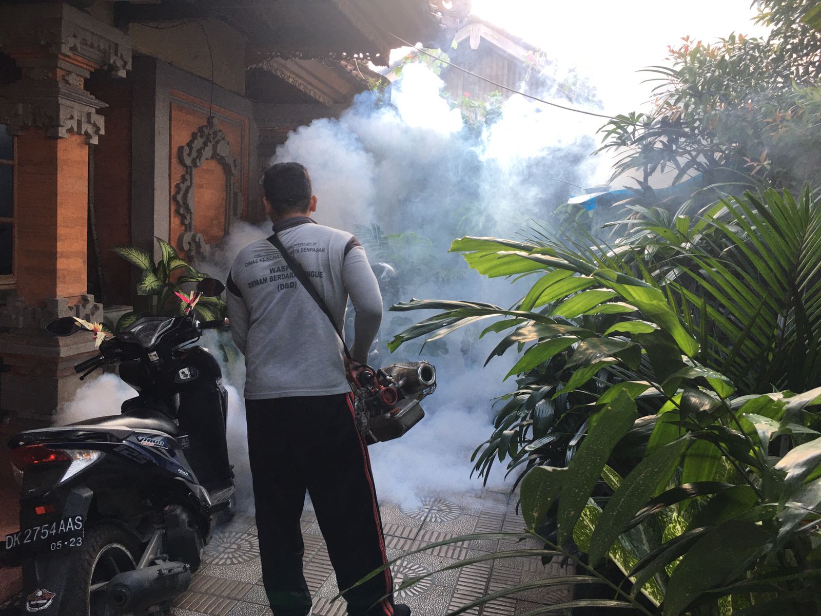 Antisipasi Penyebaran DBD Kelurahan Panjer Lakukan Fogging - baliilu.com