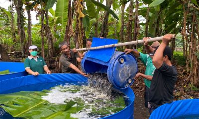Desa Dangin Puri Klod