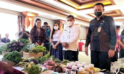 Gencar Bangkitkan Ekonomi