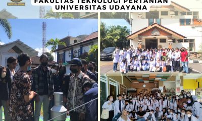 berikan pengalaman