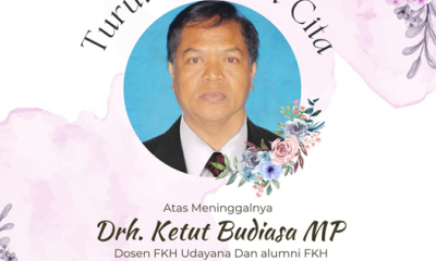 fakultas kedokteran hewan