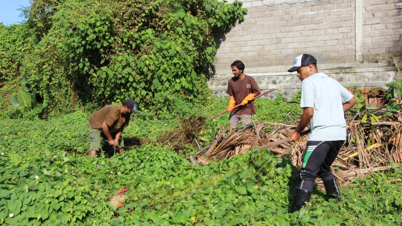 Padat Karya