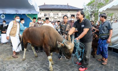 Bupati Giri Prasta