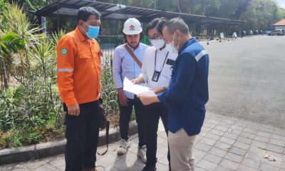 PLN