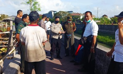 pmk