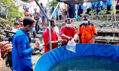 Desa Sumerta