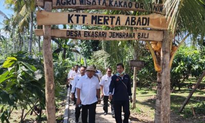 PLN