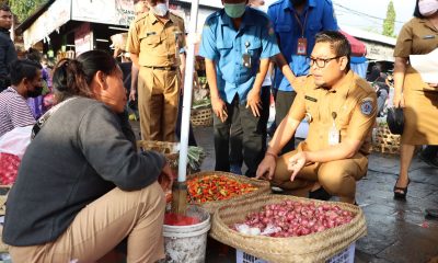 wakil walikota