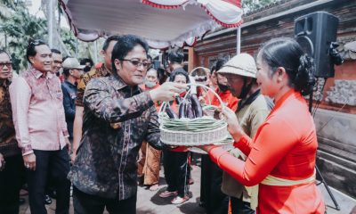panen raya
