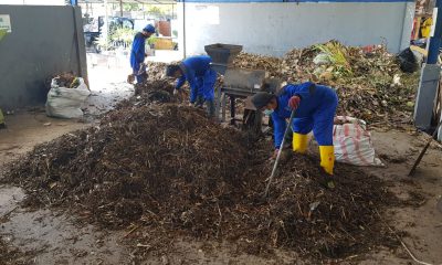 sampah