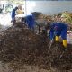 sampah