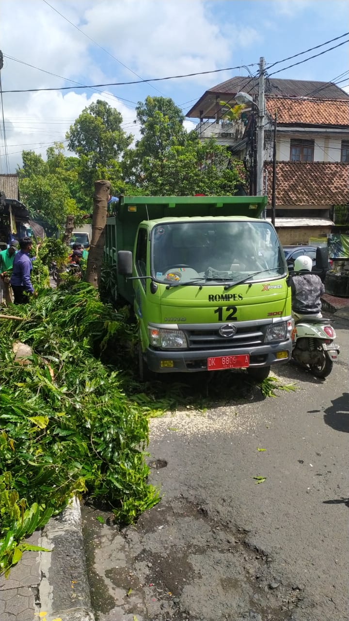 DLHK