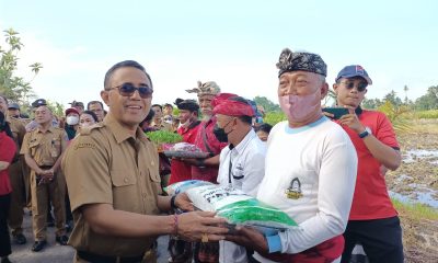 Walikota