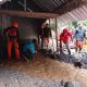 banjir
