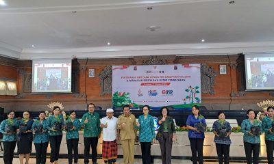 bibit cabai