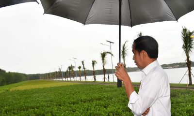 presiden