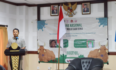 merajut
