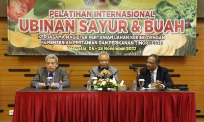 ubinan sayur