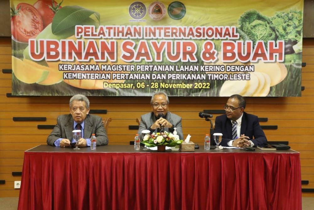 ubinan sayur
