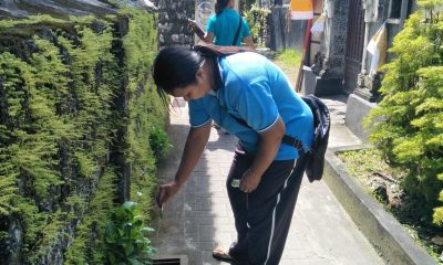 Demam Berdarah