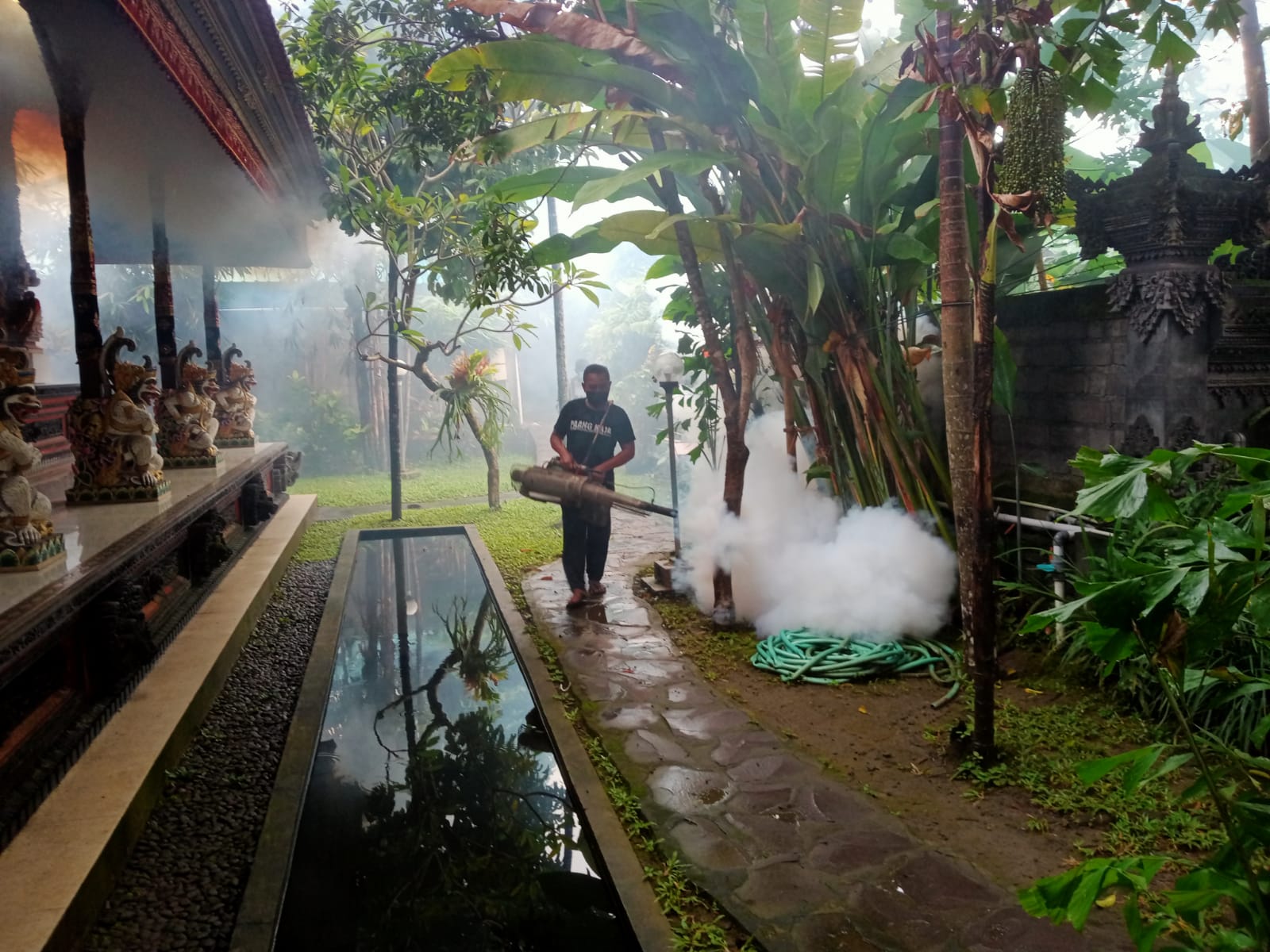 Fogging