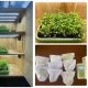 urban farming
