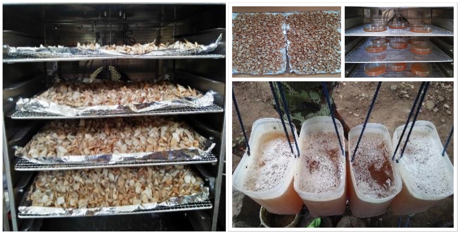 sabut kelapa
