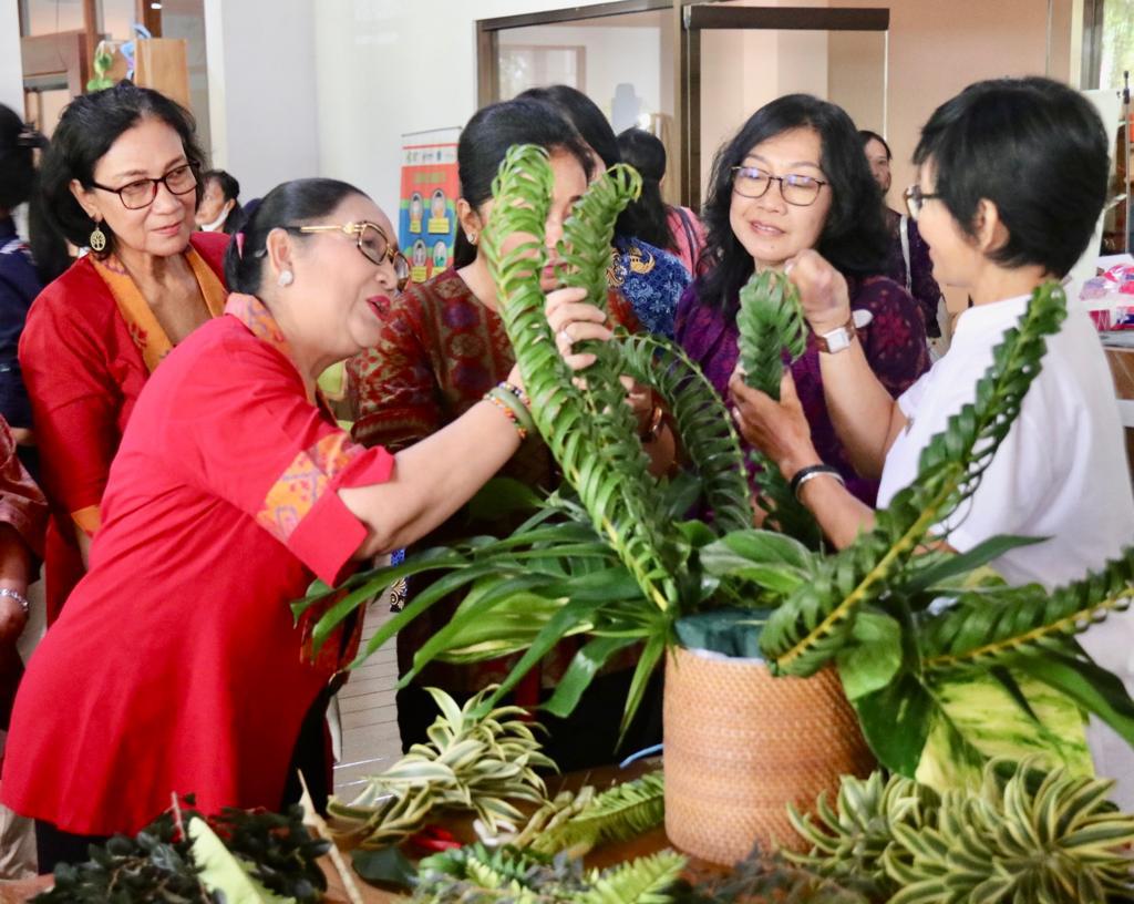 ny cok ace