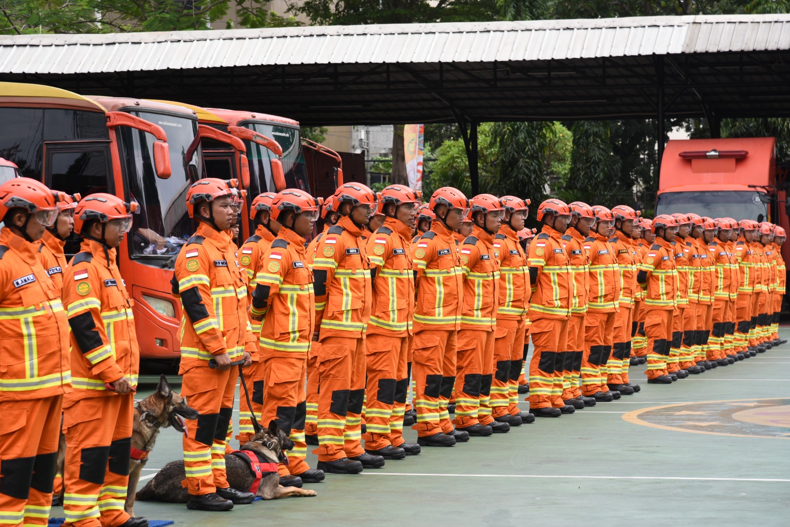 sar