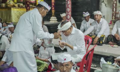 suiasa