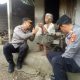kapolres