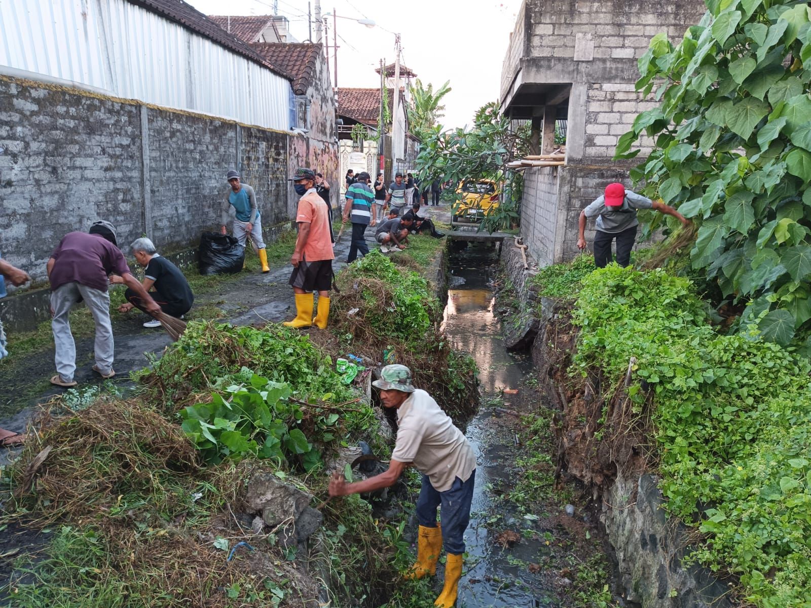 bersih