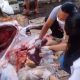 qurban