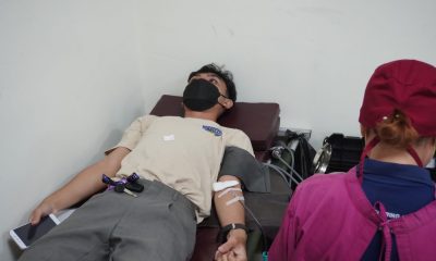 donor darah