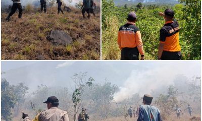 lereng gunung agung kebakaran