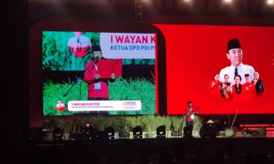 wayan koster