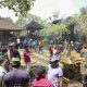 kebakaran pura dalem dan prajapati desa adat lambing