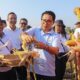 panen jagung