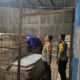 logistik KPU Gianyar
