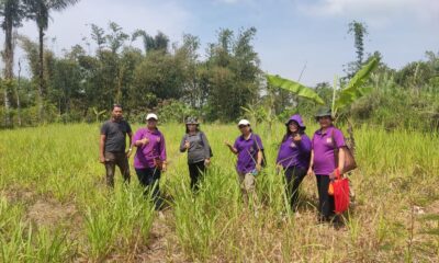 Farm Pengotan Bangli