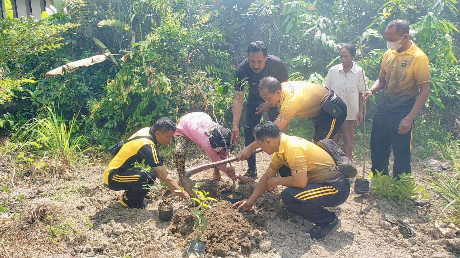 penanaman pohon polsek ubud