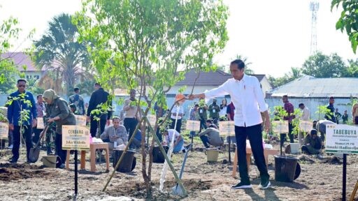 presiden tanam pohon di kupang