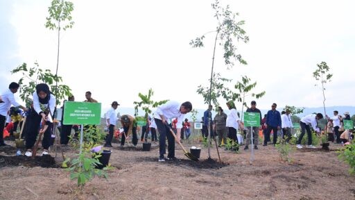 hutan hujan tropis ikn
