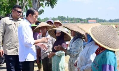 presiden jokowi di pekalongan