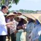 presiden jokowi di pekalongan