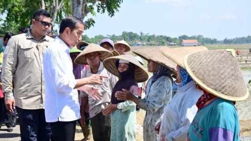 presiden jokowi di pekalongan