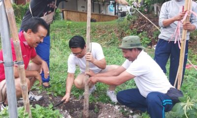 penanaman pohon di labuan sait