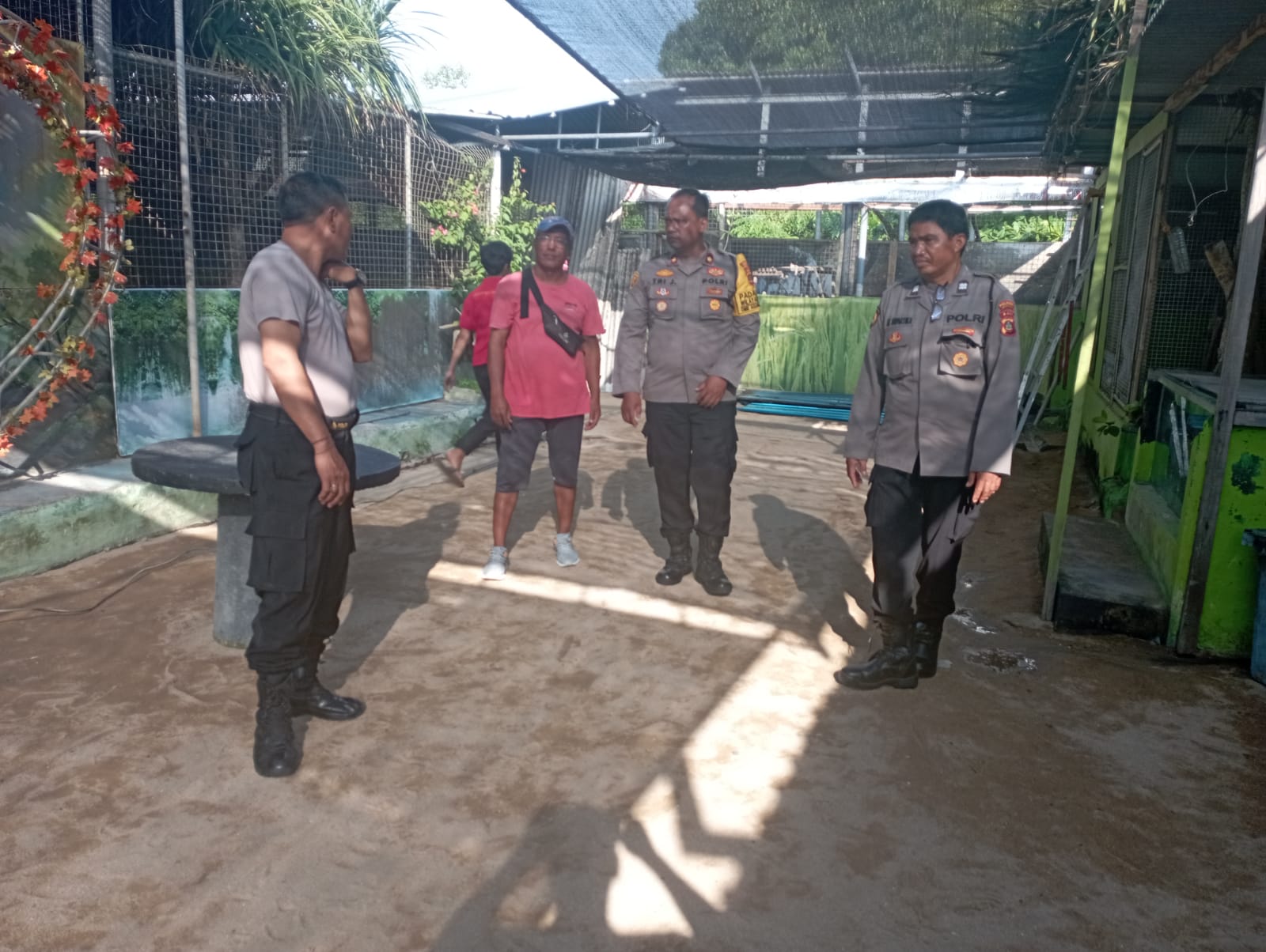 pulau penyu tanjung benoa