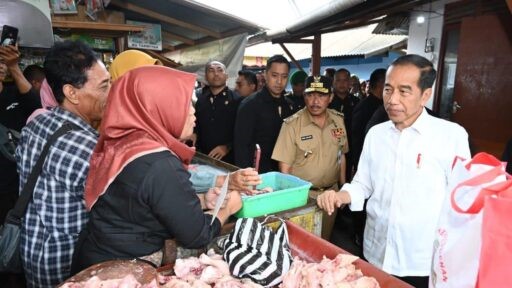 Presiden Jokowi di pasar mungkid