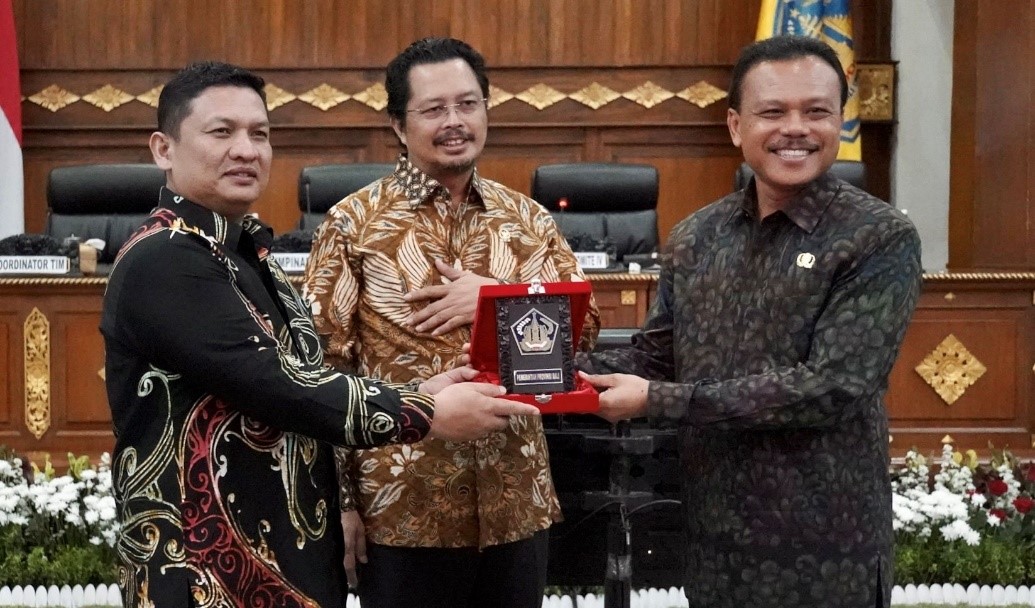 RPJPD bali